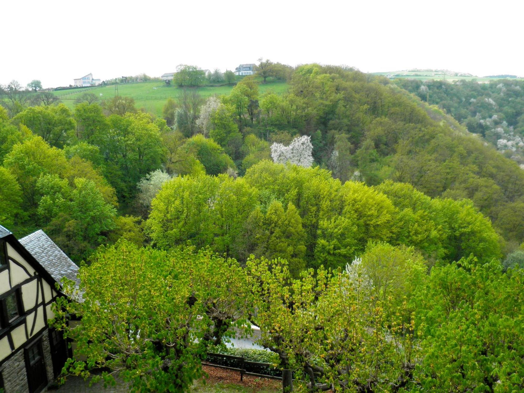 Burghotel Auf Schoenburg Oberwesel Oda fotoğraf